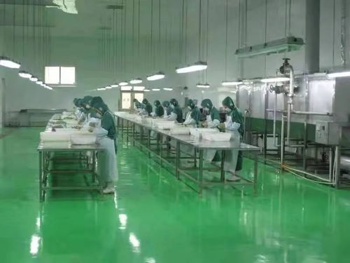 全国绿色蔬菜和有机农产品生产示范区的工程技术研究与试验发展