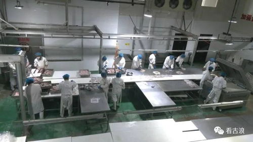 市政协调研组深入古浪县调研农产品加工产业发展现状，聚焦工程与技术研发新路径